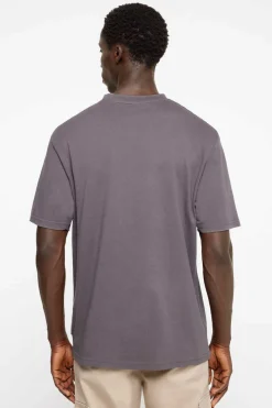 Springfield T-Shirt Estampada Fotografica Mix Cinza Best