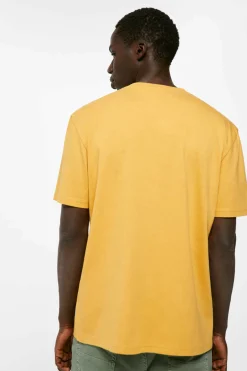 Springfield T-Shirt Montanha Japonesa Camelo Clearance