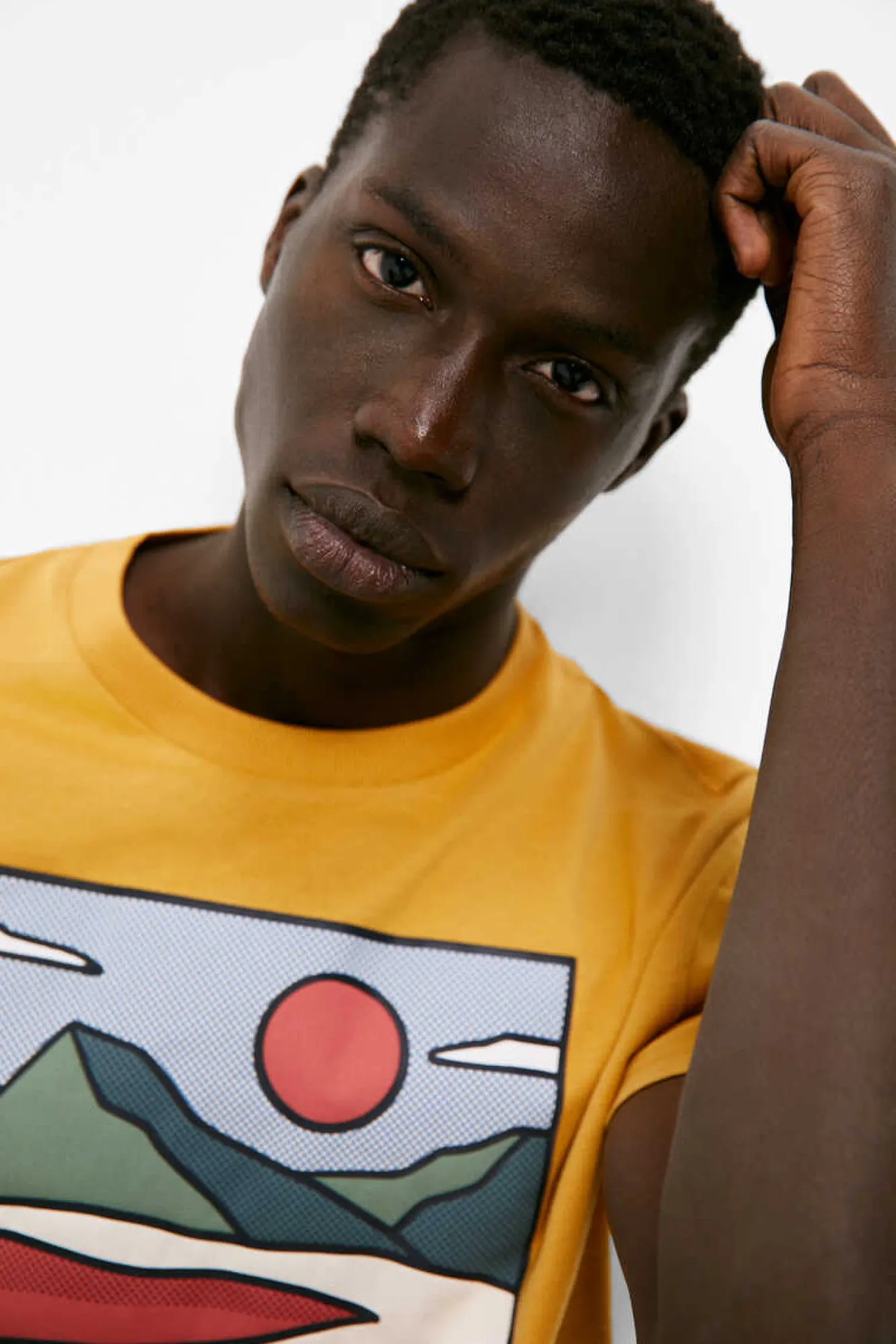 Springfield T-Shirt Montanha Japonesa Camelo Clearance