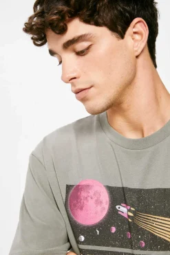 Springfield T-Shirt Private Tour Cinza