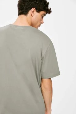 Springfield T-Shirt Private Tour Cinza